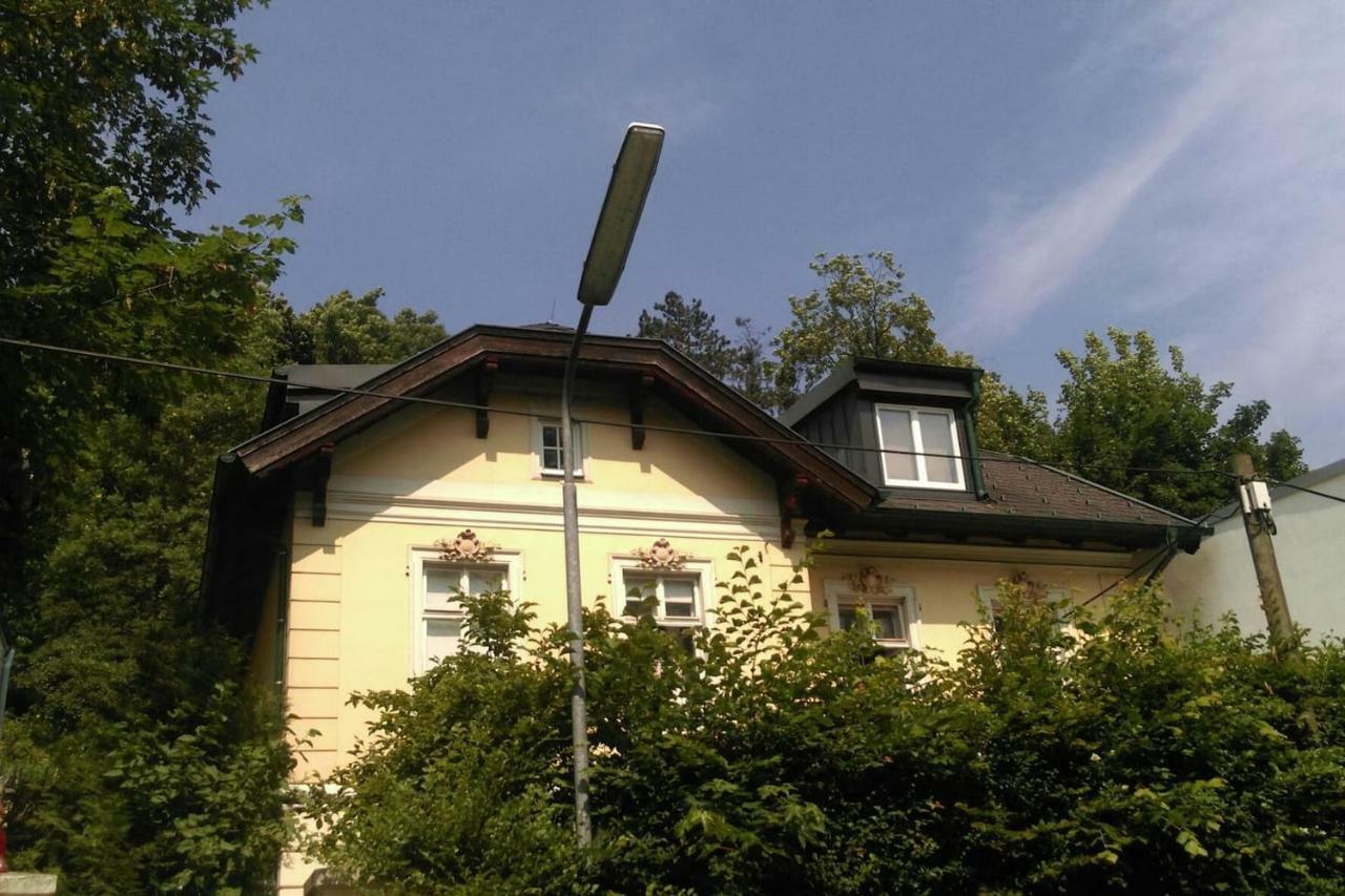 Ruhige, Grosse Ferienwohnung Am Muehlberg, Stadtrand Wien Ngoại thất bức ảnh