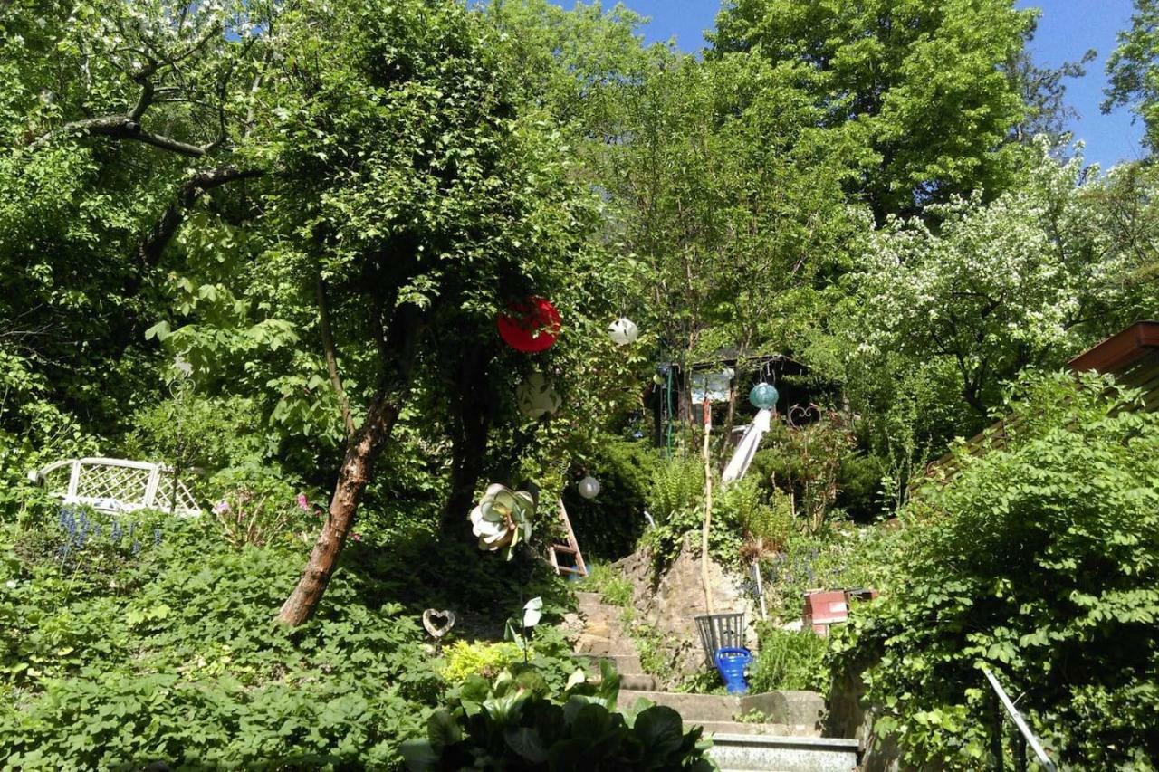 Ruhige, Grosse Ferienwohnung Am Muehlberg, Stadtrand Wien Ngoại thất bức ảnh